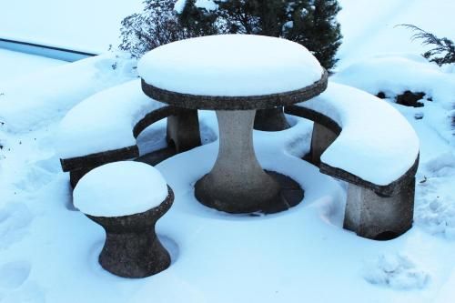 Outdoor Pictures 20