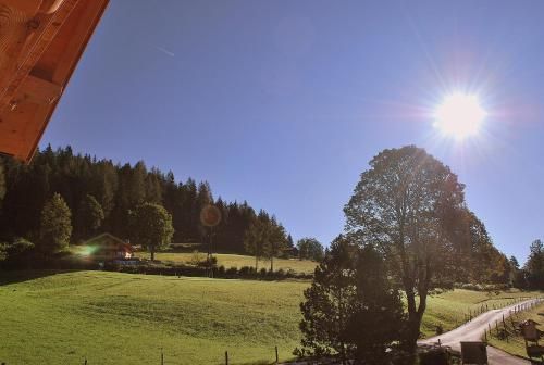 Outdoor Pictures 22