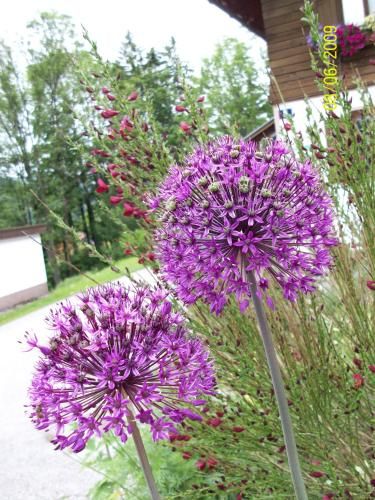 Outdoor Pictures 17