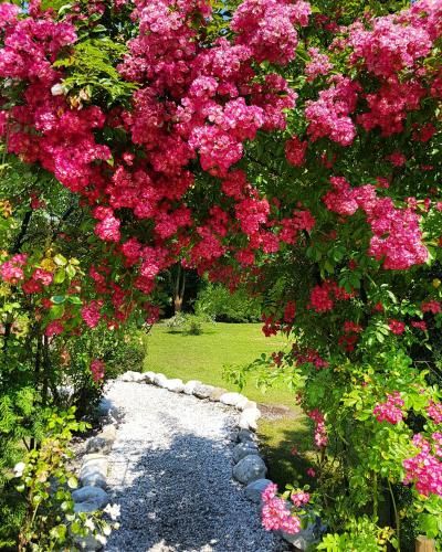 Outdoor Pictures 21