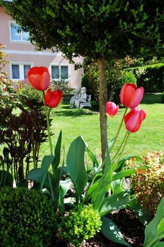 Outdoor Pictures 21