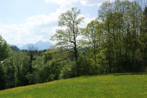 Outdoor Pictures 17