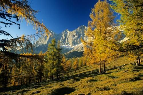 Outdoor Pictures 22