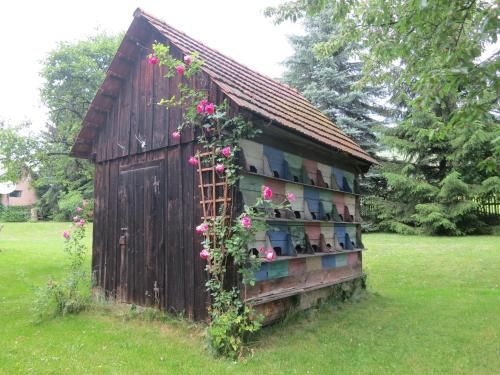 Outdoor Pictures 24