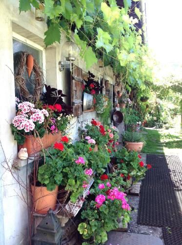 Outdoor Pictures 22
