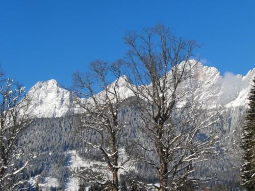 Outdoor Pictures 20