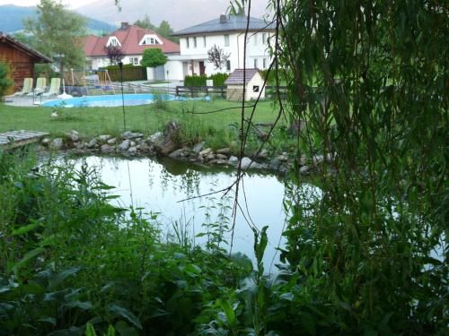 Outdoor Pictures 22