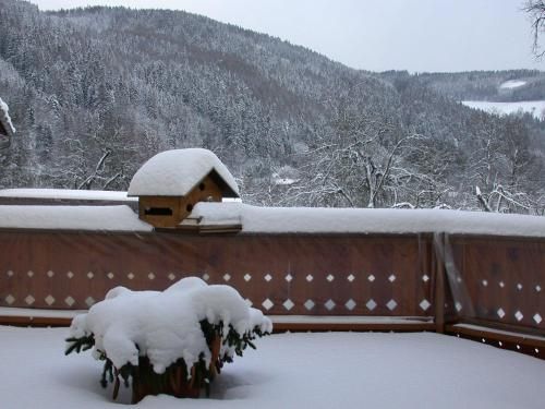 Outdoor Pictures 23