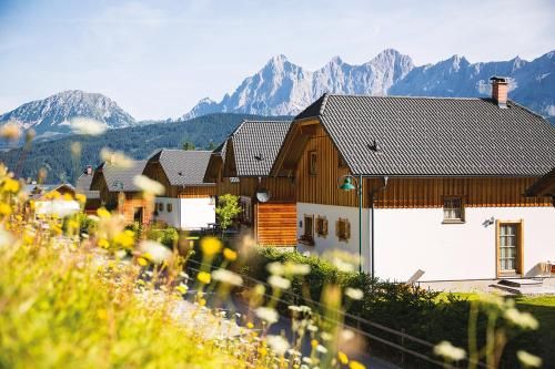 Outdoor Pictures 23