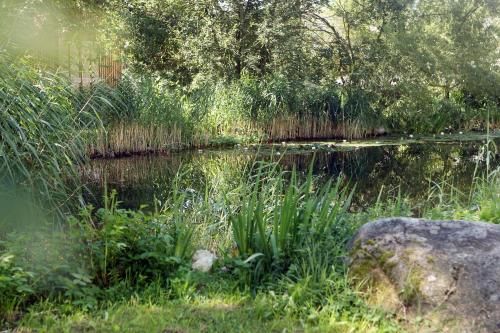 Outdoor Pictures 21