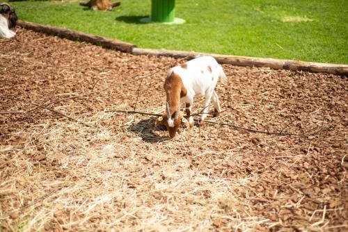Outdoor Pictures 24