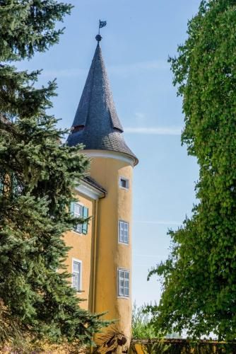 Outdoor Pictures 24