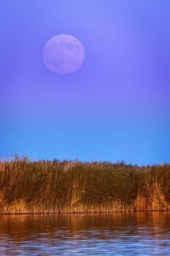 Outdoor Pictures 21