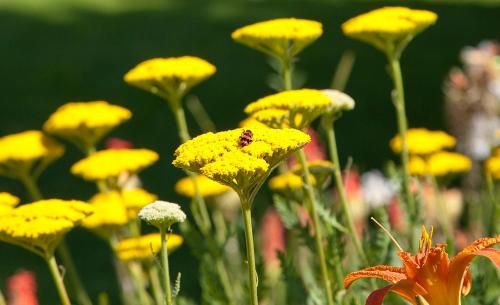 Outdoor Pictures 23