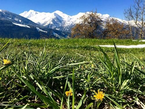 Outdoor Pictures 24