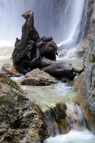 Outdoor Pictures 21