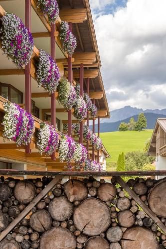 Outdoor Pictures 21