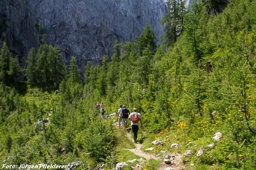 Outdoor Pictures 21