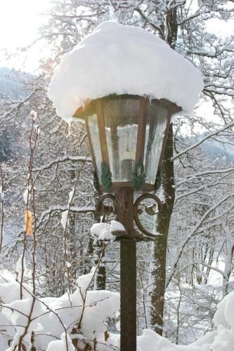 Outdoor Pictures 22