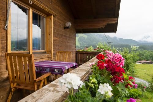 Outdoor Pictures 21