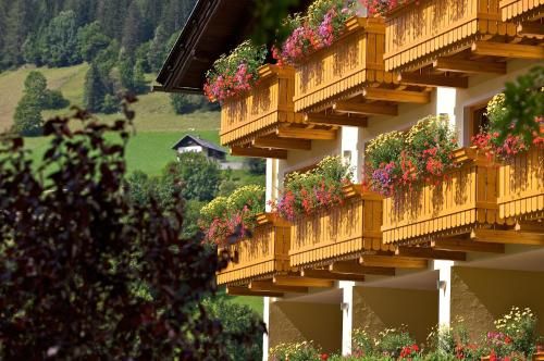 Outdoor Pictures 24