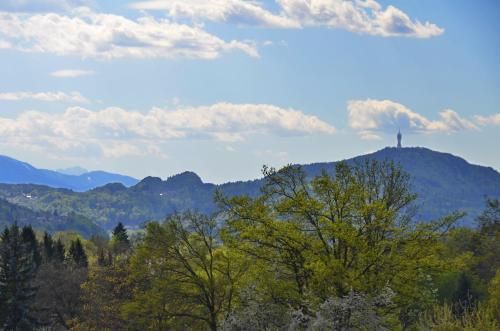 Outdoor Pictures 22