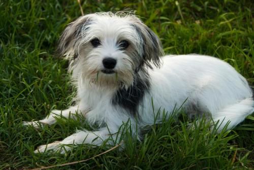 Outdoor Pictures 20