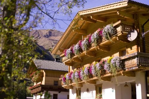 Outdoor Pictures 22