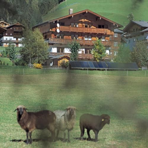 Outdoor Pictures 24