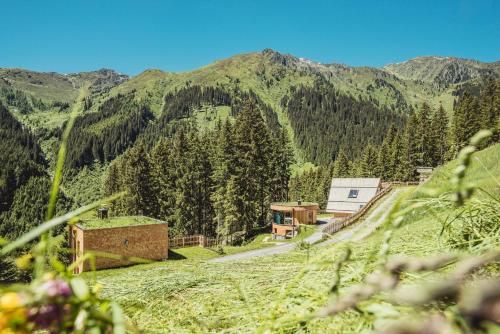 Outdoor Pictures 23