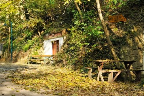 Outdoor Pictures 23