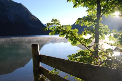 Outdoor Pictures 21
