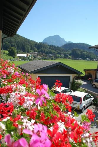 Outdoor Pictures 24