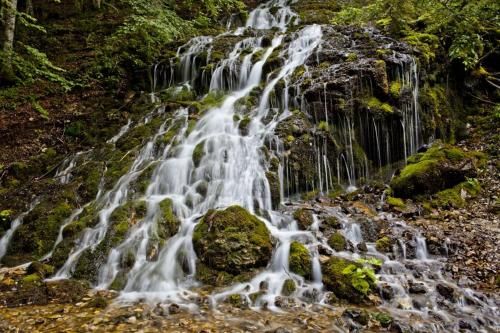 Outdoor Pictures 21