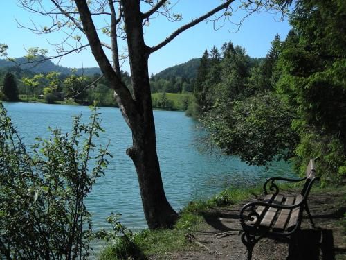 Outdoor Pictures 22