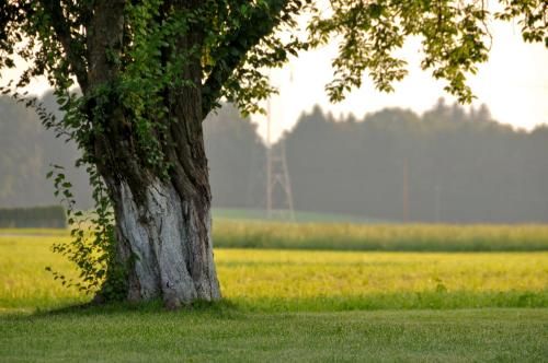 Outdoor Pictures 23