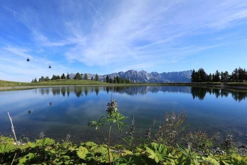 Outdoor Pictures 22