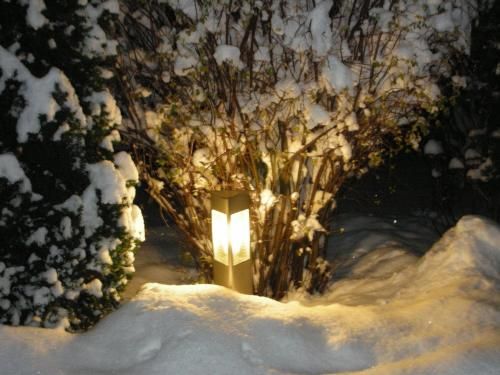 Outdoor Pictures 22
