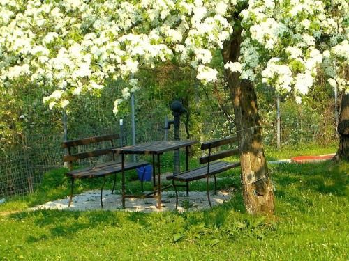 Outdoor Pictures 10