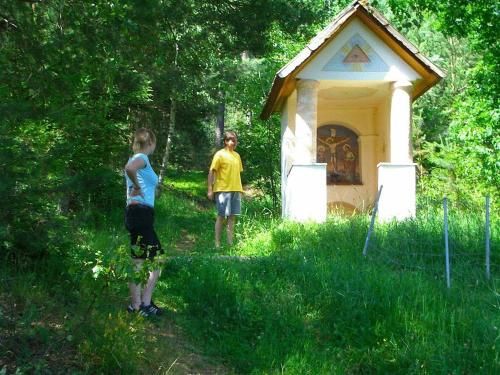 Outdoor Pictures 11