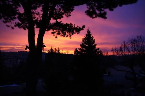 Outdoor Pictures 18