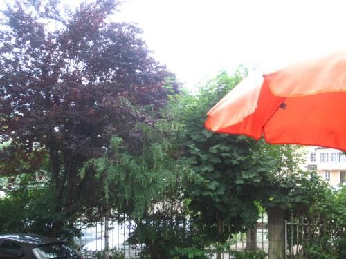 Outdoor Pictures 23