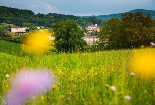 Outdoor Pictures 22