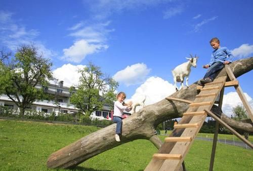 Outdoor Pictures 22