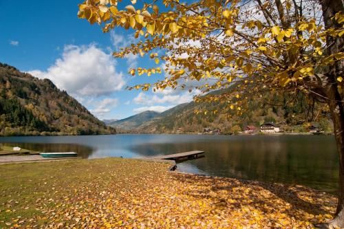 Outdoor Pictures 19