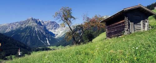 Outdoor Pictures 21