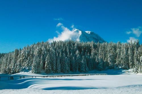Outdoor Pictures 21