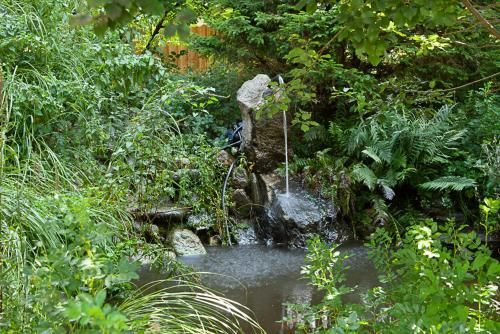 Outdoor Pictures 20