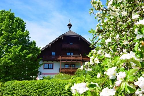 Outdoor Pictures 21