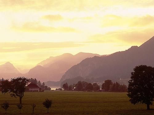 Outdoor Pictures 20